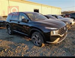 هیۆندای سەنتافی